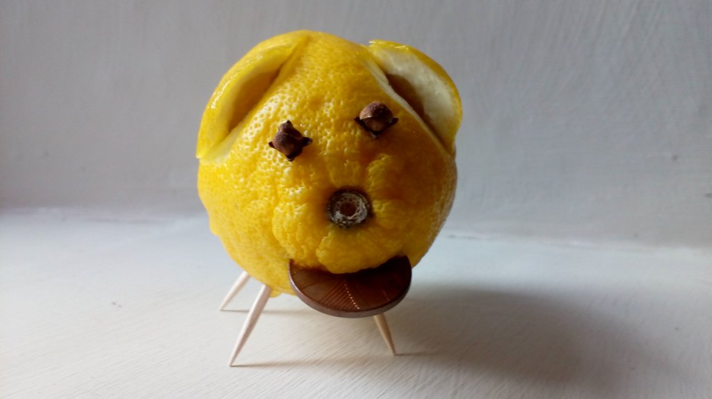 Lucky Lemon Pig Tabby's Blog