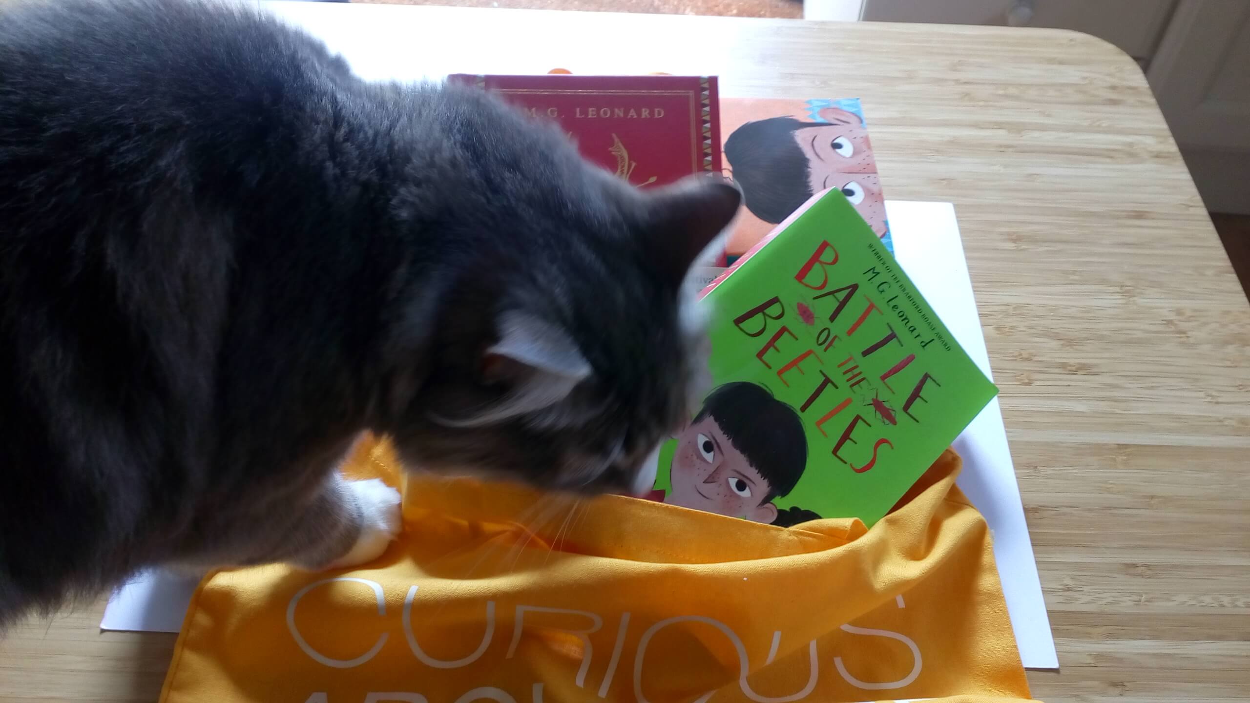 minnow helping