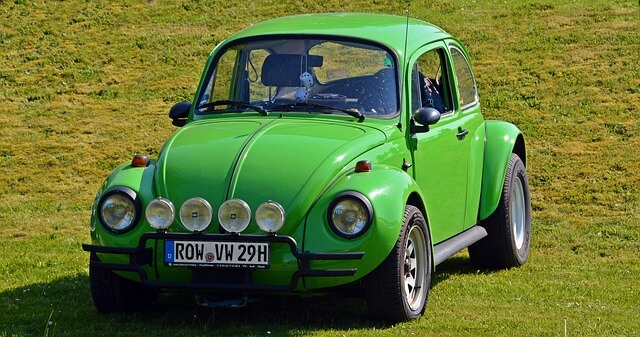 Green Beetle